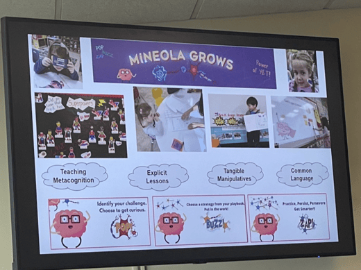 Mineola Grows