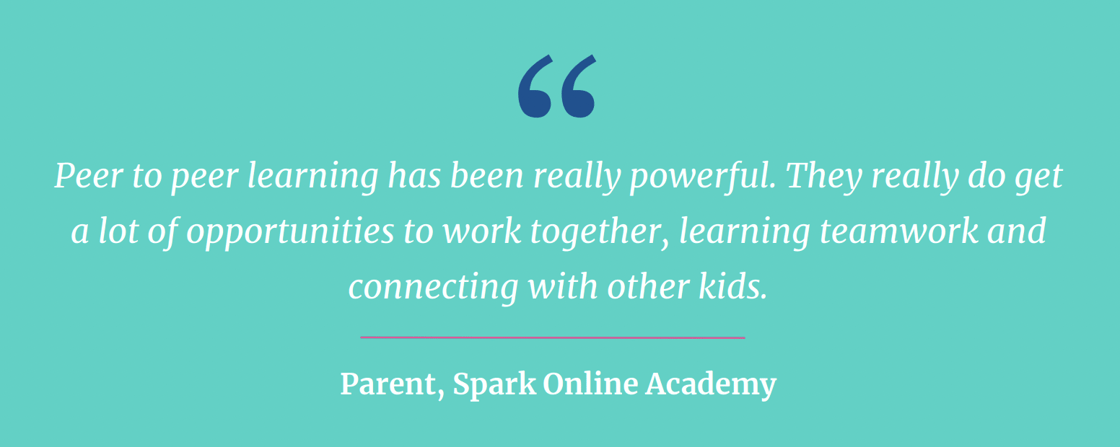 Spark Online Academy testimonial