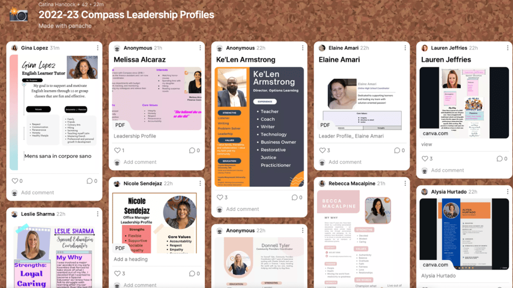 Compass Leadership Profile